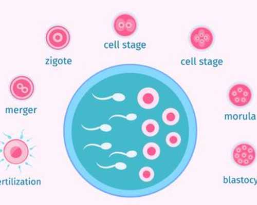 湖北求财运的寺庙,剖腹弃尸、被囚失明，水中“微笑精灵”谁来守护？
